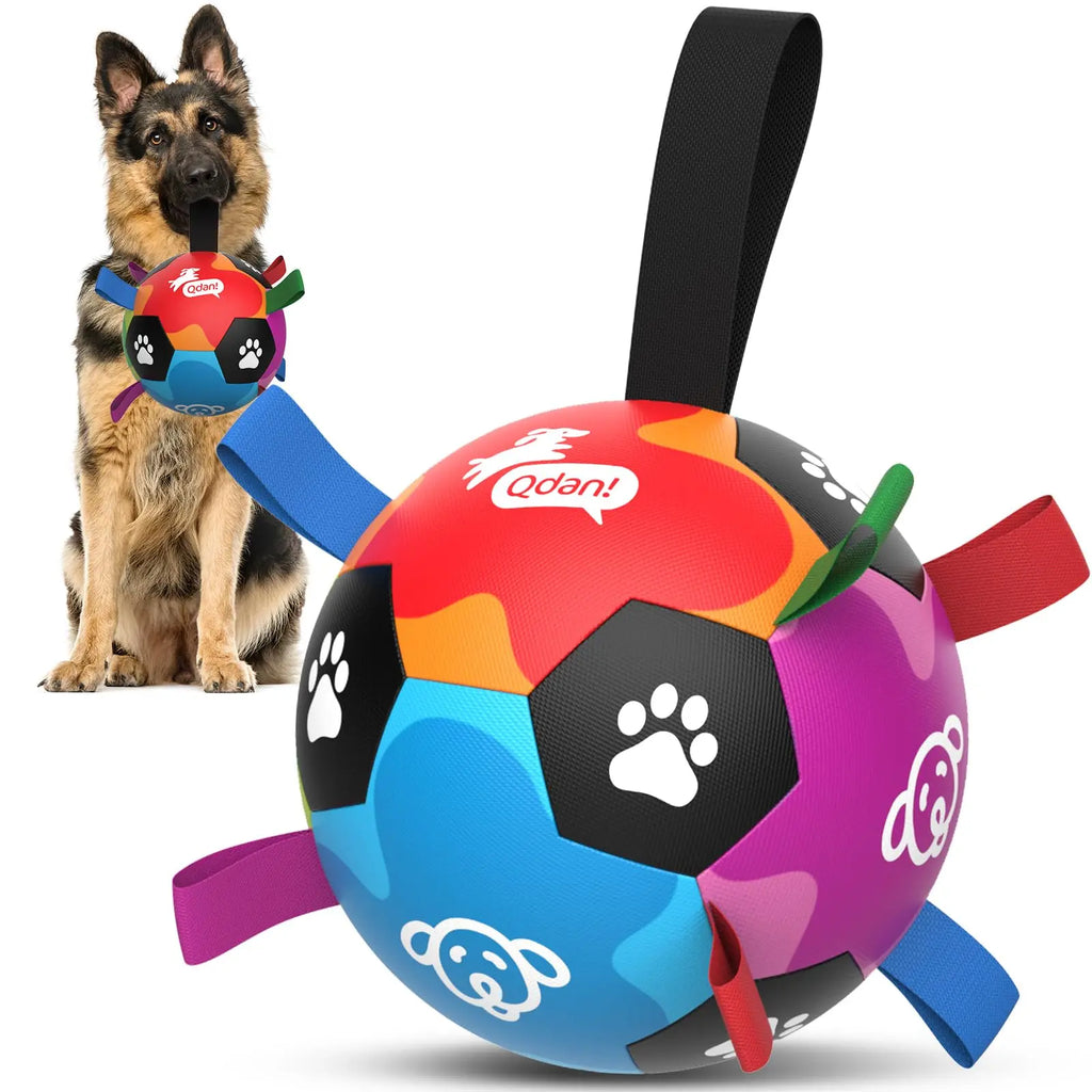Champion Herding Ball (Indestructible)
