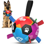 Champion Herding Ball (Indestructible)