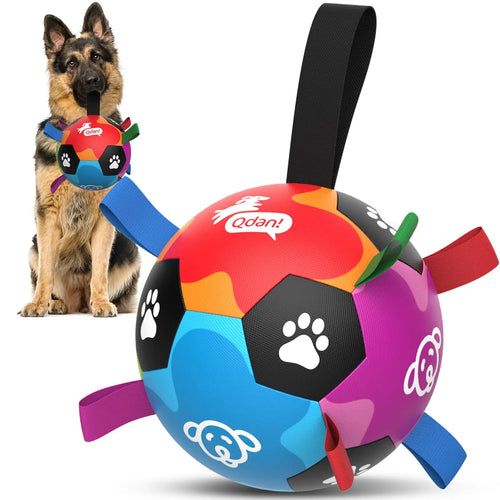 Champion Herding Ball (Indestructible)