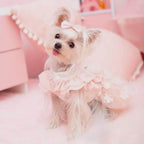 Summer Breeze Floral Puppy Dress