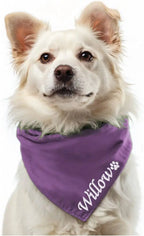 Signature Embroidered Pet Bandana