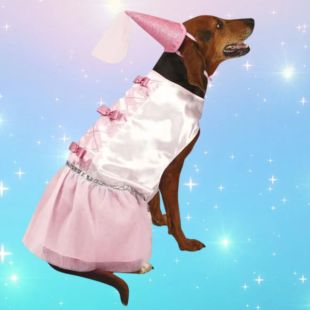 Summer Breeze Floral Puppy Dress