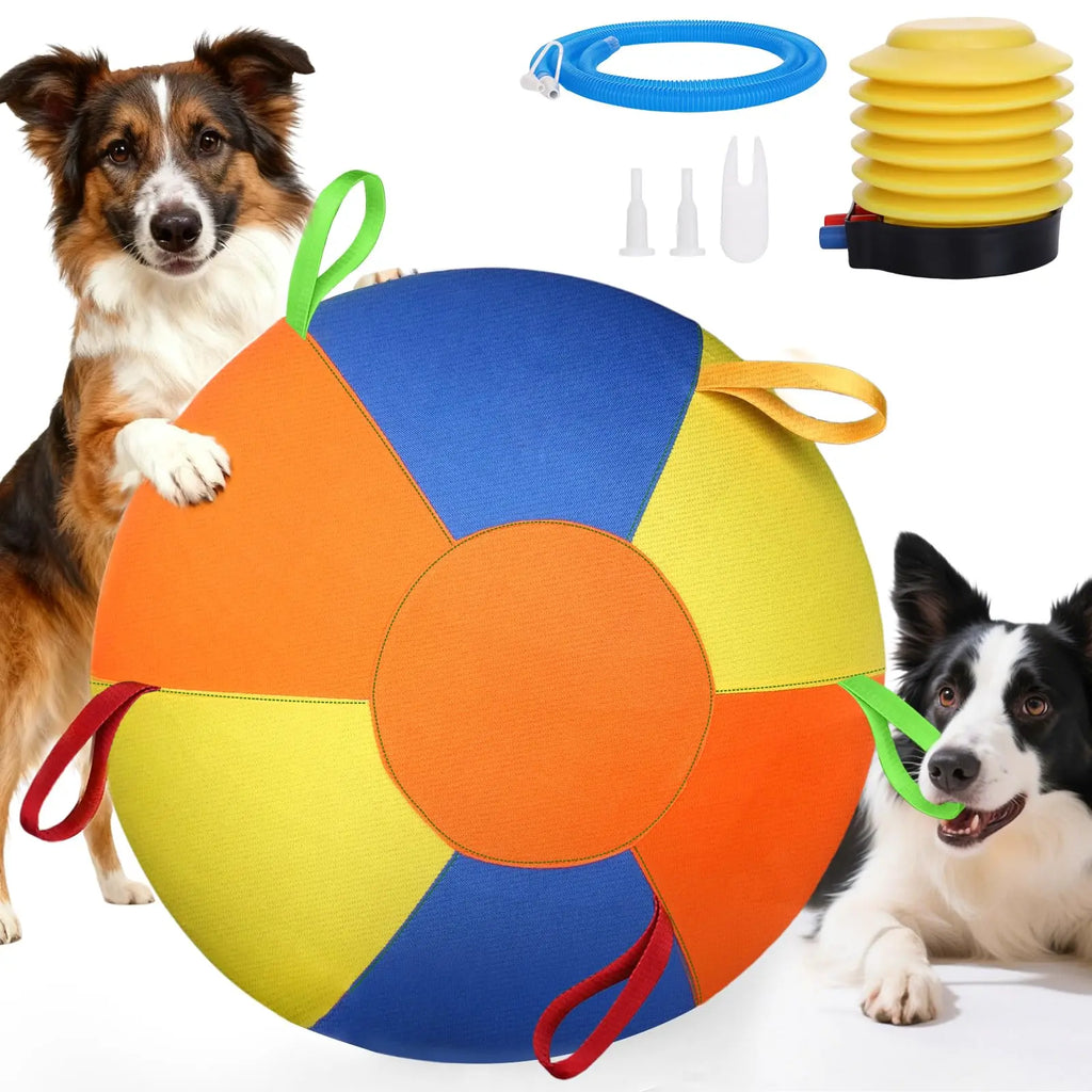 Champion Herding Ball (Indestructible)