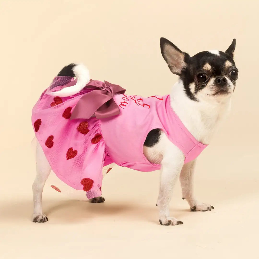 Summer Breeze Floral Puppy Dress