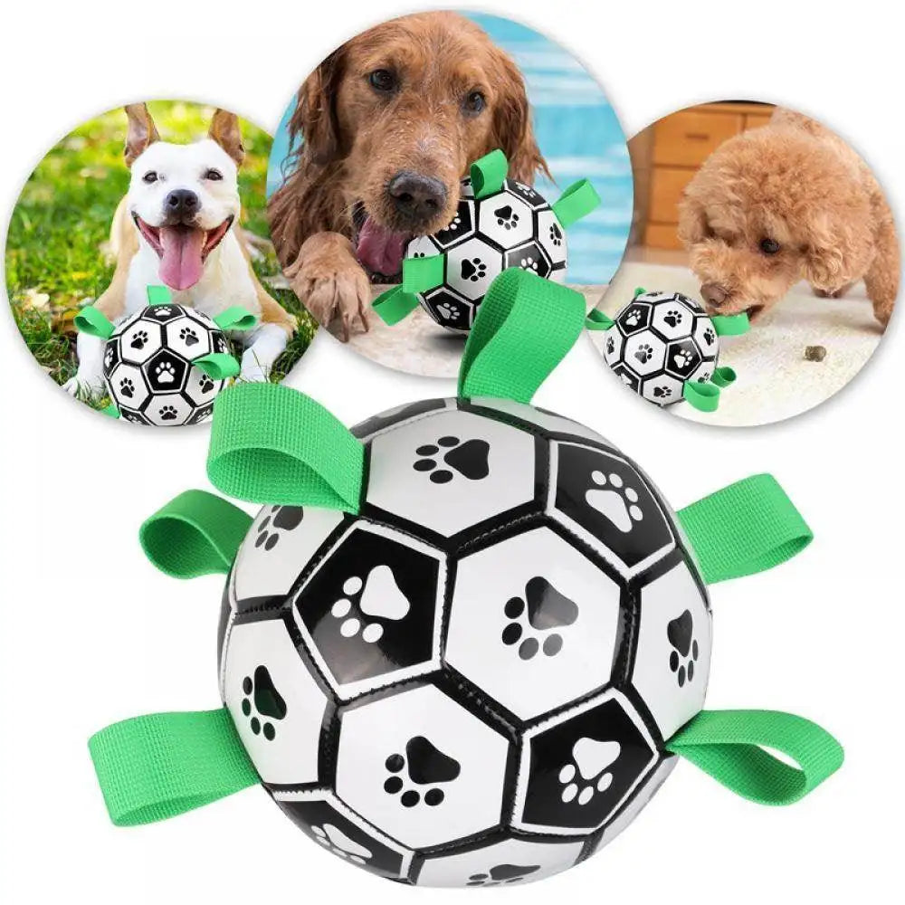 Champion Herding Ball (Indestructible)