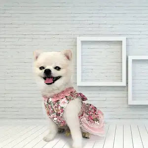 Heirloom Bowtie Princess Dog Dress