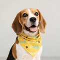 Signature Embroidered Pet Bandana