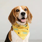 Signature Embroidered Pet Bandana