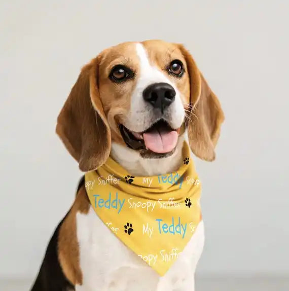 Signature Embroidered Pet Bandana