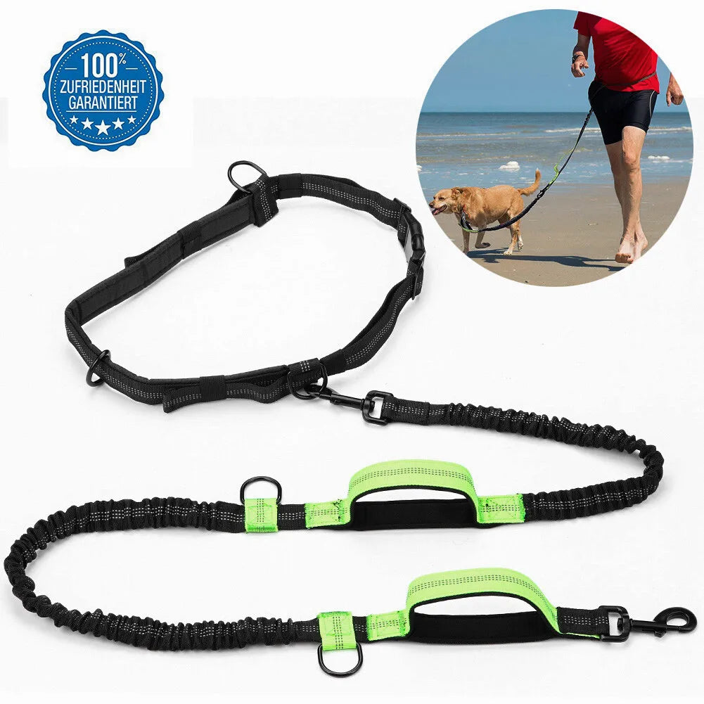 Explorer Hands-Free Adventure Leash (with Utility Pouch)