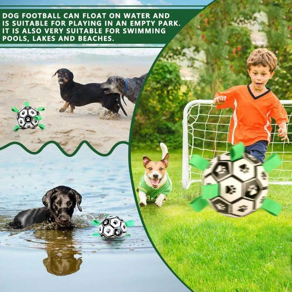 Champion Herding Ball (Indestructible)